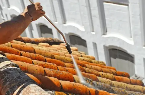 Nettoyage de toitures - Prévessin-Moëns